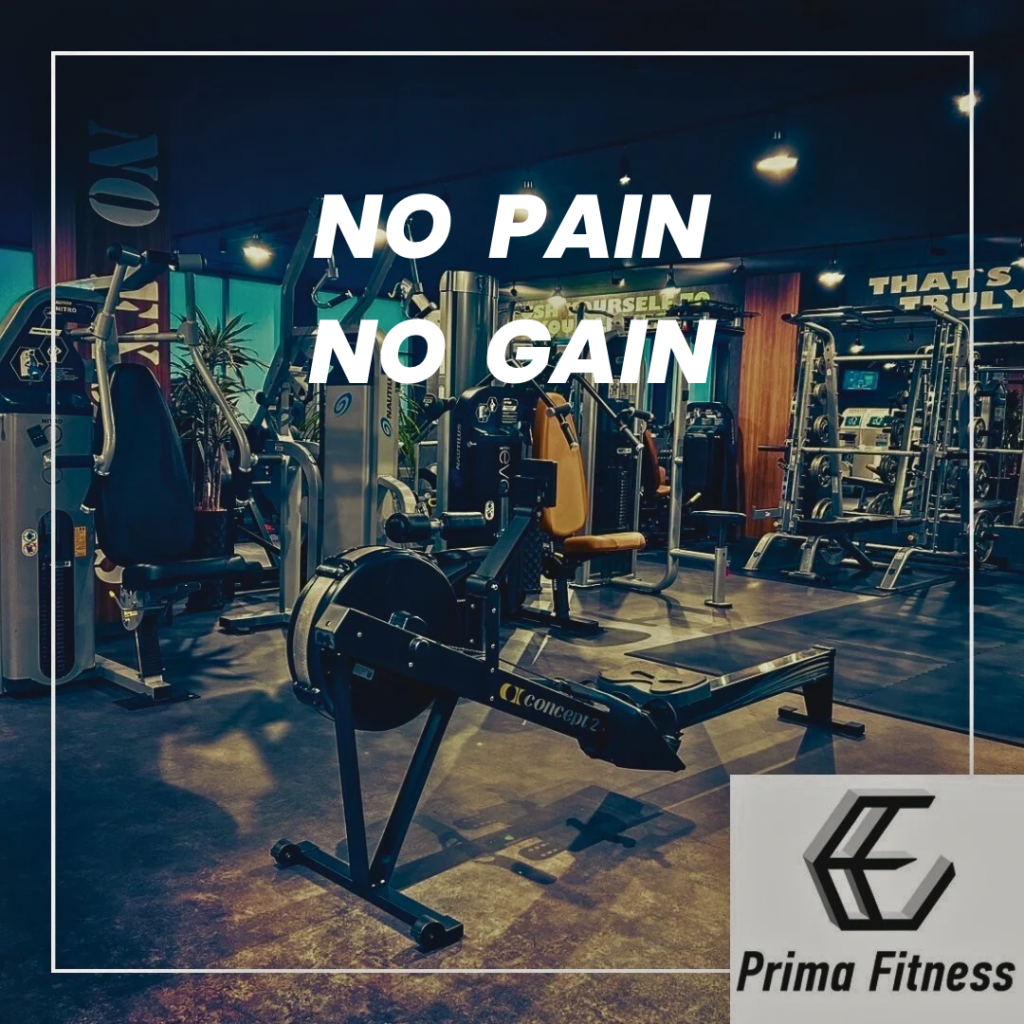 NO PAIN   NO GAIN