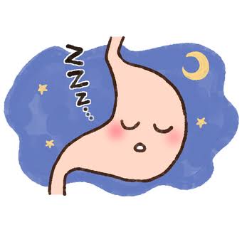 臓器を休ませる