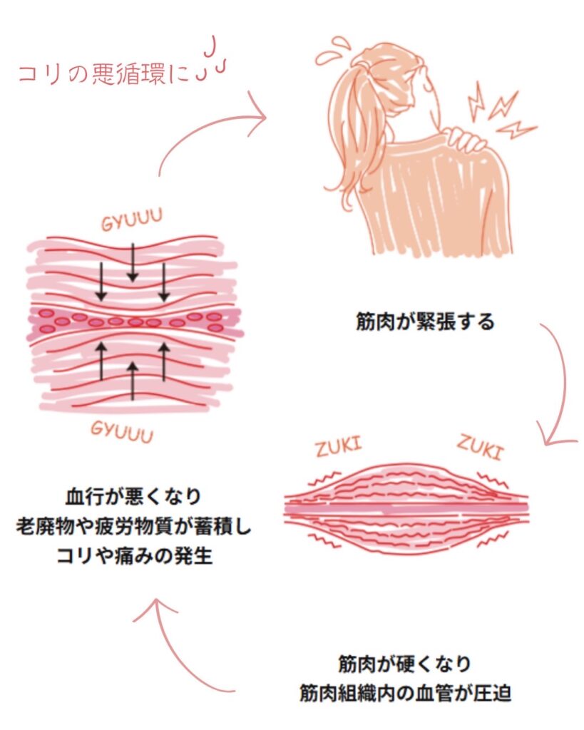 磁気の力で血行促進